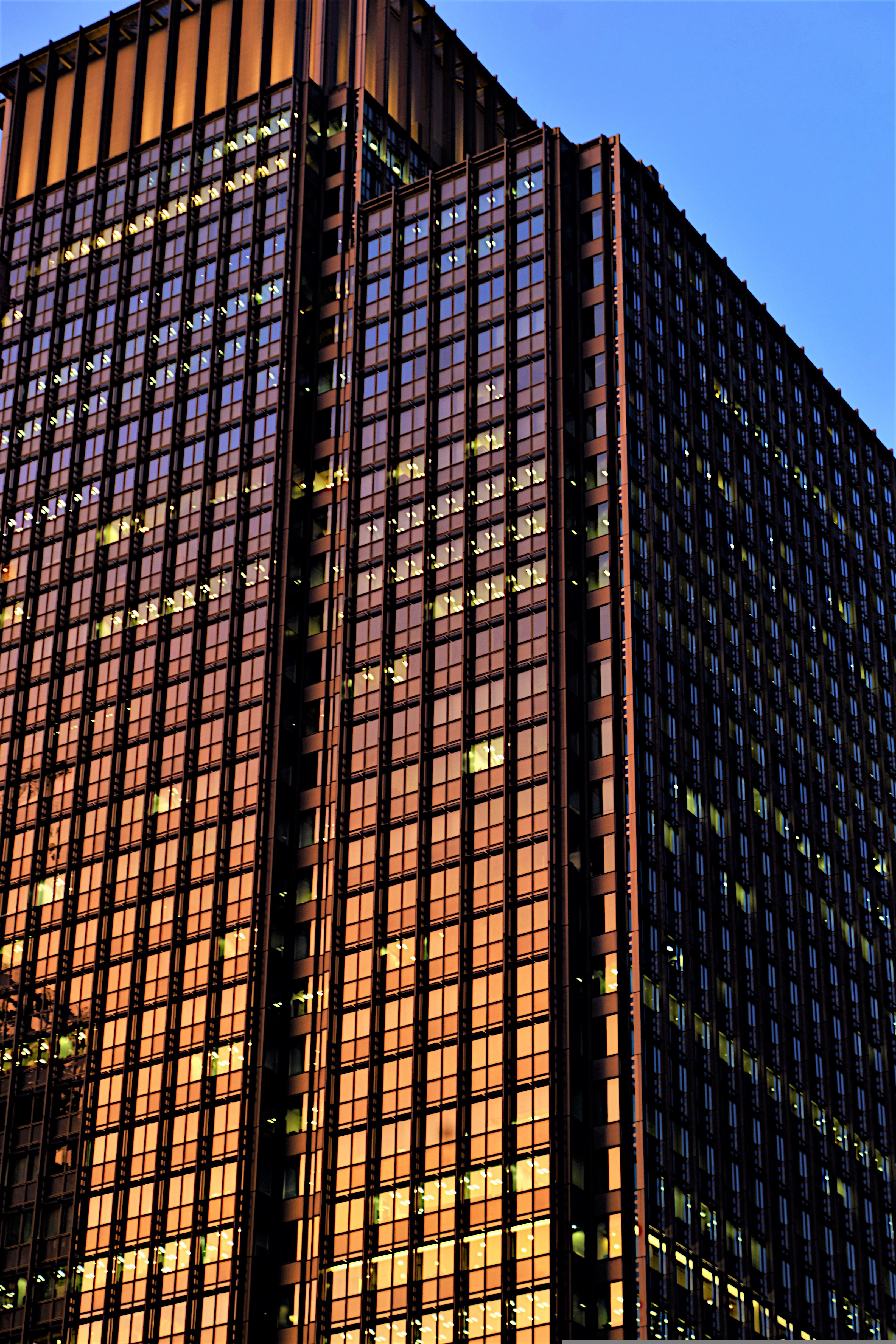 Tokyo business district at golden hour